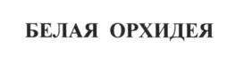 Товарный знак №569536, принадлежит правообладателю Сиволдаев Илья Михайлович, ОГРН 0, ИНН 772073511614