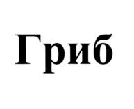 Товарный знак №571550, принадлежит организации Общество с ограниченной ответственностью "НанОптика", ОГРН 1127747165468, ИНН 7717739052