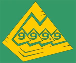 Товарный знак №575789, принадлежит организации Общество с ограниченной ответственностью «Гравитон», ОГРН 1153668027974, ИНН 3662997488