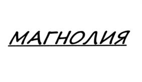 Товарный знак №576171, принадлежит организации Общество с ограниченной ответственностью "Интеллект продактс", ОГРН 1107746227401, ИНН 7710864544