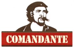 Товарный знак №581770, принадлежит организации Общество с ограниченной ответственностью "Торговый дом "Русьимпорт", ОГРН 1026602310899, ИНН 6658151881