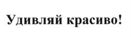 Товарный знак №583768, принадлежит ИП Бирюков Евгений Витальевич, ОГРНИП 312290120600067, ИНН 290300340201