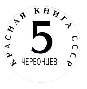 Товарный знак №590287, принадлежит организации Общество с ограниченной ответственностью "МастерВижн", ОГРН 1037722014857, ИНН 7722285929