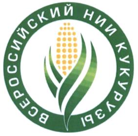 Товарный знак №595975, принадлежит организации ФЕДЕРАЛЬНОЕ ГОСУДАРСТВЕННОЕ БЮДЖЕТНОЕ НАУЧНОЕ УЧРЕЖДЕНИЕ "ВСЕРОССИЙСКИЙ НАУЧНО-ИССЛЕДОВАТЕЛЬСКИЙ ИНСТИТУТ КУКУРУЗЫ", ОГРН 1022601614749, ИНН 2632017475