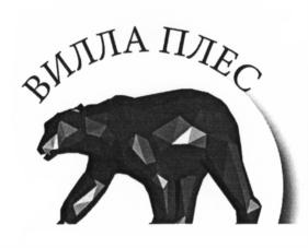 Товарный знак №596129, принадлежит организации Общество с ограниченной ответственностью "Плес Менеджмент", ОГРН 1127746052796, ИНН 7715901415