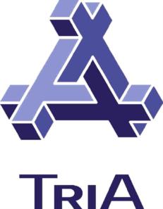Товарный знак №597953, принадлежит ИП Индивидуальный предприниматель Артемьев Андрей Анатольевич, ОГРНИП 304381113300052, ИНН 381100011134
