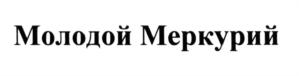 Товарный знак №598095, принадлежит организации Общество с ограниченной ответственностью "Серебряный Меркурий", ОГРН 1147746192736, ИНН 7702833447