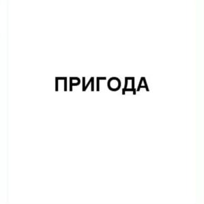 Товарный знак №598220, принадлежит организации Общество с ограниченной ответственностью "Торговый дом "Впрок", ОГРН 1101650012782, ИНН 1650214890