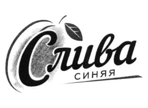 Товарный знак №601025, принадлежит правообладателю Чеканов Андрей Владимирович, ОГРН 0, ИНН 910200451756