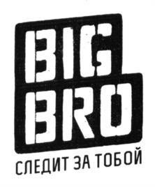Товарный знак №605542, принадлежит ИП Набиуллин Ильназ Фаргатович, ОГРНИП 316169000053370, ИНН 163502275598