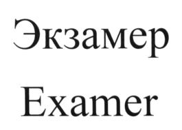 Товарный знак №608775, принадлежит организации Общество с ограниченной ответственностью "Турбоподготовка", ОГРН 1186196020636, ИНН 6154152533