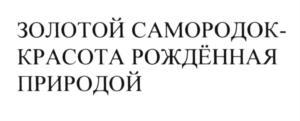 Товарный знак №618161, принадлежит организации Общество с ограниченной ответственностью производственное объединение "Золотой самородок", ОГРН 1094911000062, ИНН 4907017660