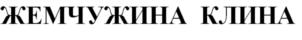 Товарный знак №620904, принадлежит ИП Медведев Николай Петрович, ОГРНИП 315502000001544, ИНН 502006454248