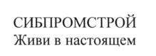 Товарный знак №623330, принадлежит организации Общество с ограниченной ответственностью "Сибпромстрой-Югория", ОГРН 1148602007740, ИНН 8602219323