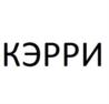 Товарный знак №644954, принадлежит организации Общество с ограниченной ответственностью «Ресторанная компания Поляна», ОГРН 1146316010543, ИНН 6316204690