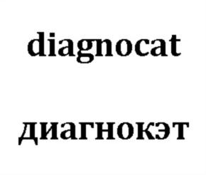 Товарный знак №648464, принадлежит организации Общество с ограниченной ответственностью "ДИАГНОКАТ", ОГРН 1187746771464, ИНН 7716919359