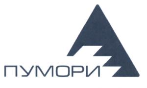 Товарный знак №658650, принадлежит организации Общество с ограниченной ответственностью "Научно-производственное предприятие "Пумори-инструмент", ОГРН 1026602948503, ИНН 6659000229