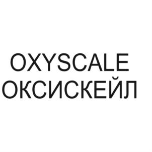 Товарный знак №659401, принадлежит организации Общество с ограниченной ответственностью "Окси Кемикалз", ОГРН 1096165002185, ИНН 6165155416