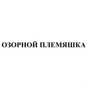 Товарный знак №661653, принадлежит организации Общество с ограниченной ответственностью «Сибирский стандарт», ОГРН 1162225090950, ИНН 2223613460