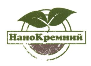 Товарный знак №663082, принадлежит организации Общество с ограниченной ответственностью "НаноКремний", ОГРН 1155027003977, ИНН 5027227142