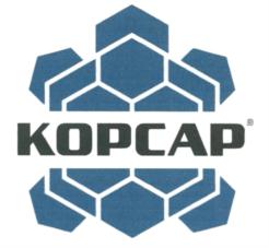 Товарный знак №666895, принадлежит организации Общество с ограниченной ответственностью "КОРСАР", ОГРН 5147746166816, ИНН 7719891133