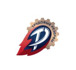 Товарный знак №667857, принадлежит организации Общероссийская общественная организация "Всероссийское физкультурно-спортивное общество "Трудовые Резервы", ОГРН 1187700010190, ИНН 7704456650