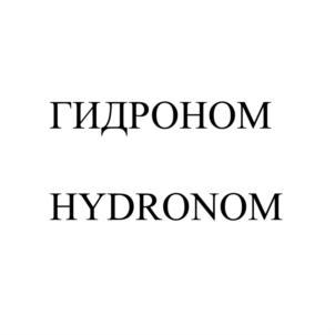 Товарный знак №675116, принадлежит организации Общество с ограниченной ответственностью "ГИДРОНОМ", ОГРН 1115074009566, ИНН 5036114804