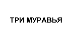 Товарный знак №685535, принадлежит ИП Кальгина Марина Вольдемаровна, ОГРНИП 306784701900117, ИНН 781308527507