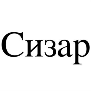 Товарный знак №686941, принадлежит организации Общество с ограниченной ответственностью "СИЗАР", ОГРН 1112801004975, ИНН 2801162656
