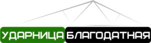 Товарный знак №688945, принадлежит организации Общество с ограниченной ответственностью "ЛИПЕЦКИЙ ЗАВОД ТЕПЛИЦ АКТИВАГРО", ОГРН 1174827020906, ИНН 4823075714