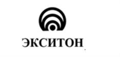 Товарный знак №691487, принадлежит организации Акционерное общество «Экситон», ОГРН 1025004641012, ИНН 5035022614