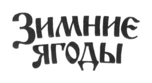Товарный знак №692818, принадлежит организации Акционерное общество "Бальзам", ОГРН 1022200556751, ИНН 2227002119