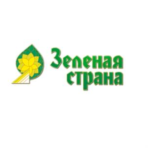 Товарный знак №696105, принадлежит организации Общество с ограниченной ответственностью "КАПИТАЛ ИНВЕСТ ГРУПП", ОГРН 1066367040915, ИНН 6367052861