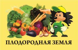 Товарный знак №696399, принадлежит организации Общество с ограниченной ответственностью "Стройторговля", ОГРН 1174704000767, ИНН 4703148343
