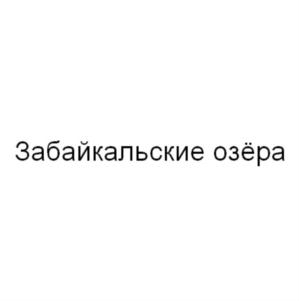 Товарный знак №697356, принадлежит организации Общество с ограниченной ответственностью "Титан", ОГРН 1177536001433, ИНН 7536164420