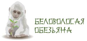 Товарный знак №697927, принадлежит ИП Бойкова Анна Сергеевна, ОГРНИП 317784700265251, ИНН 780636464382