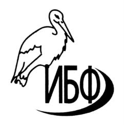 Товарный знак №699063, принадлежит организации Общество с ограниченной ответственностью "ИБФ", ОГРН 1147746235010, ИНН 7722837094