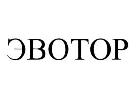 Товарный знак №699568, принадлежит организации Общество с ограниченной ответственностью "ЭВОТОР", ОГРН 5157746008107, ИНН 9715225506