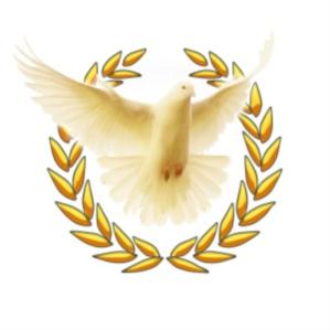 Товарный знак №702187, принадлежит ИП Билан Константин Юрьевич, ОГРНИП 314744826800032, ИНН 744609043281