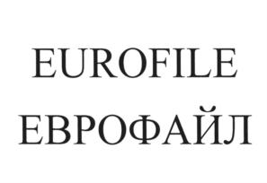 Товарный знак №703313, принадлежит организации Общество с ограниченной ответственностью "ЕВРОФАЙЛ", ОГРН 1187746202247, ИНН 7726423457