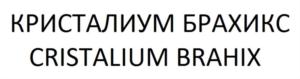 Товарный знак №705217, принадлежит организации Общество с ограниченной ответственностью «Комфинсервис», ОГРН 1027739440981, ИНН 7729358573