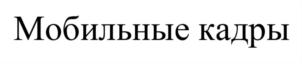 Товарный знак №707269, принадлежит организации Общество с ограниченной ответственностью «Мобильные кадры», ОГРН 1167746084220, ИНН 9715238551