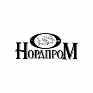 Товарный знак №713527, принадлежит организации Общество с ограниченной ответственностью «РОСТ.ТОП.ПРОМ НОРД», ОГРН 5147746424964, ИНН 5044045512