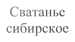 Товарный знак №714249, принадлежит ИП Ярошенко Сергей Анатольевич, ОГРНИП 304246123900011, ИНН 246300064991