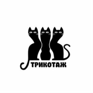Товарный знак №715112, принадлежит организации Общество с ограниченной ответственностью ПКП «Камертон», ОГРН 1114205003307, ИНН 4205216294
