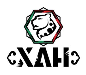 Товарный знак №716397, принадлежит организации Автономная некоммерческая организация «Спортивный клуб единоборств «Батыр», ОГРН 1161690103992, ИНН 1655360831