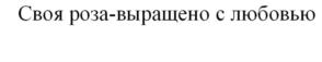 Товарный знак №717697, принадлежит организации Общество с ограниченной ответственностью «ТепличноХозяйственныйКомплекс», ОГРН 1077746036422, ИНН 7731559164