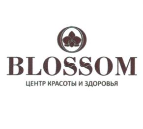 Товарный знак №721363, принадлежит организации Общество с ограниченной ответственностью "БЛОССЕМ", ОГРН 1135476177539, ИНН 5405486941