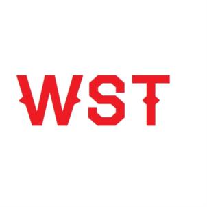 Товарный знак №725863, принадлежит организации Общество с ограниченной ответственностью «ЛМТ ИМПЭКС», ОГРН 1156658059040, ИНН 6679077251