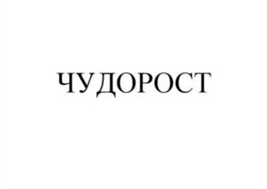 Товарный знак №728069, принадлежит ИП Теплышев Вячеслав Юрьевич, ОГРНИП 305770000121225, ИНН 773310253561
